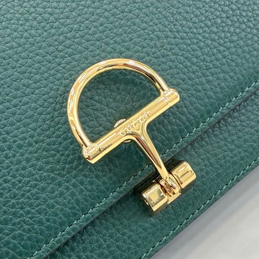 Ezyycart Bags Guccin Luxury Bag --95177