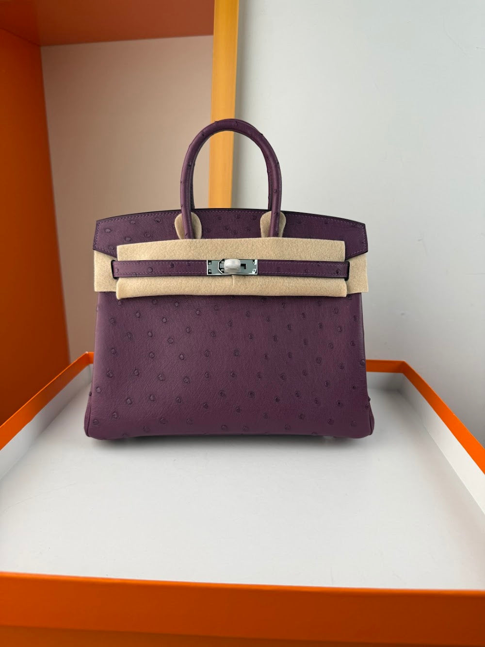 Anum Bags Hermesn Luxury Bag --116760