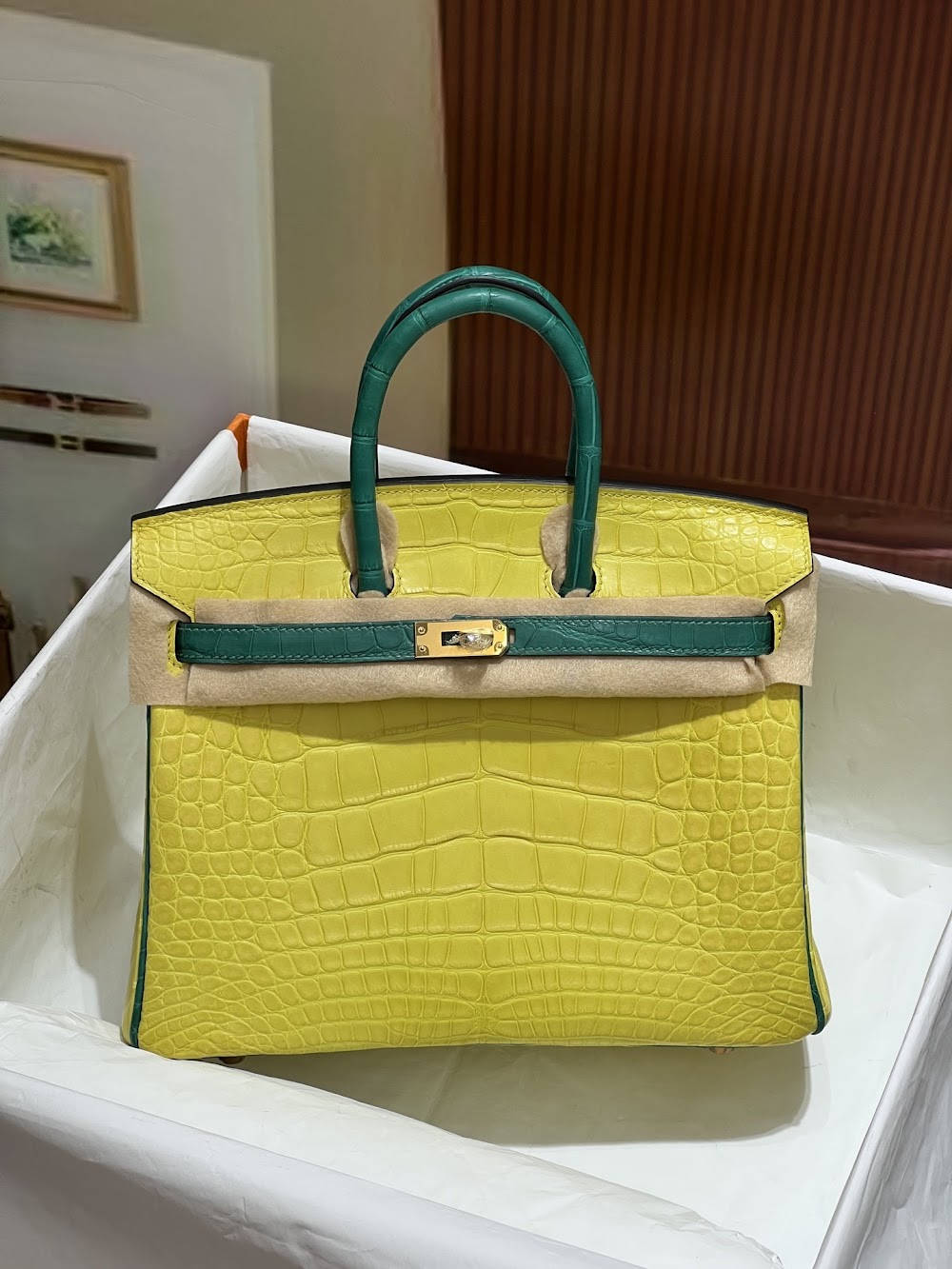 Anum Bags Hermesn Luxury Bag --116731