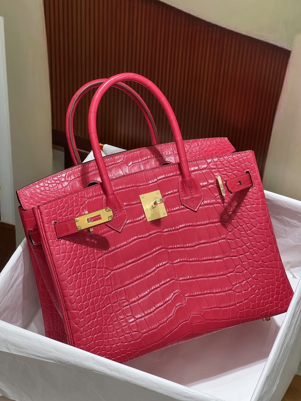 Anum Bags Hermesn Luxury Bag --117197