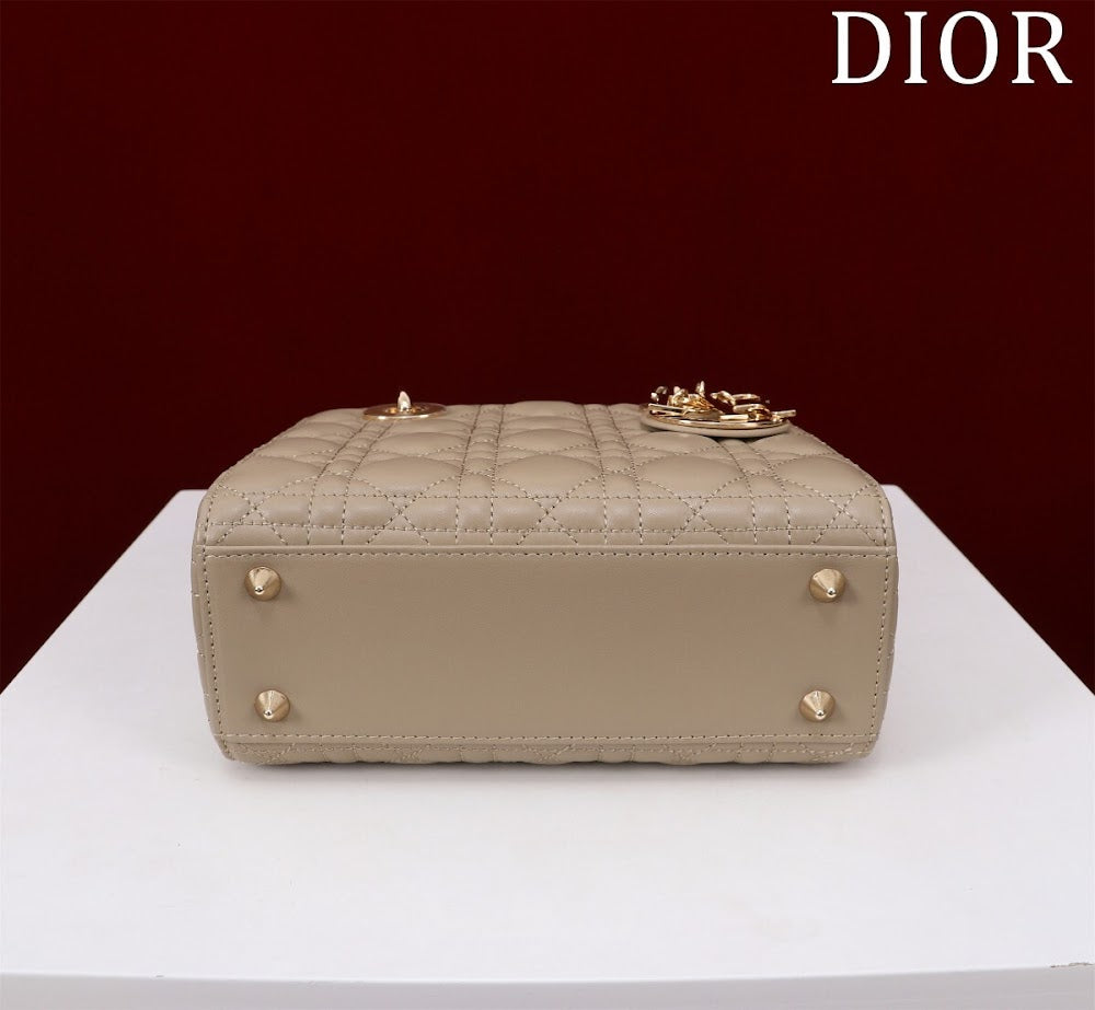 Ezyycart Bags Diorn Luxury Bag --115933