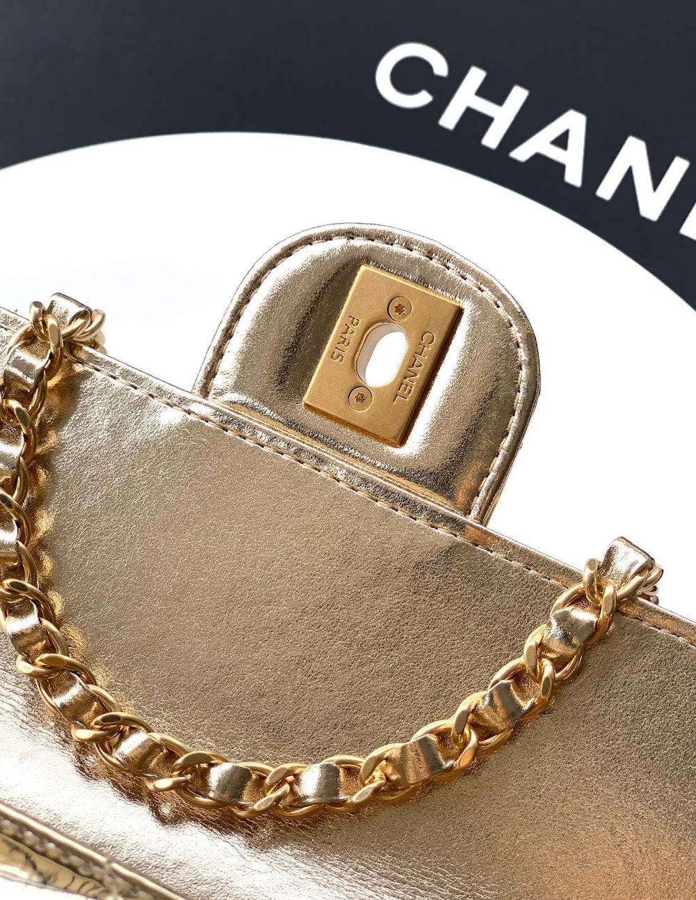 Anum Bags CHn Luxury Bag --113060