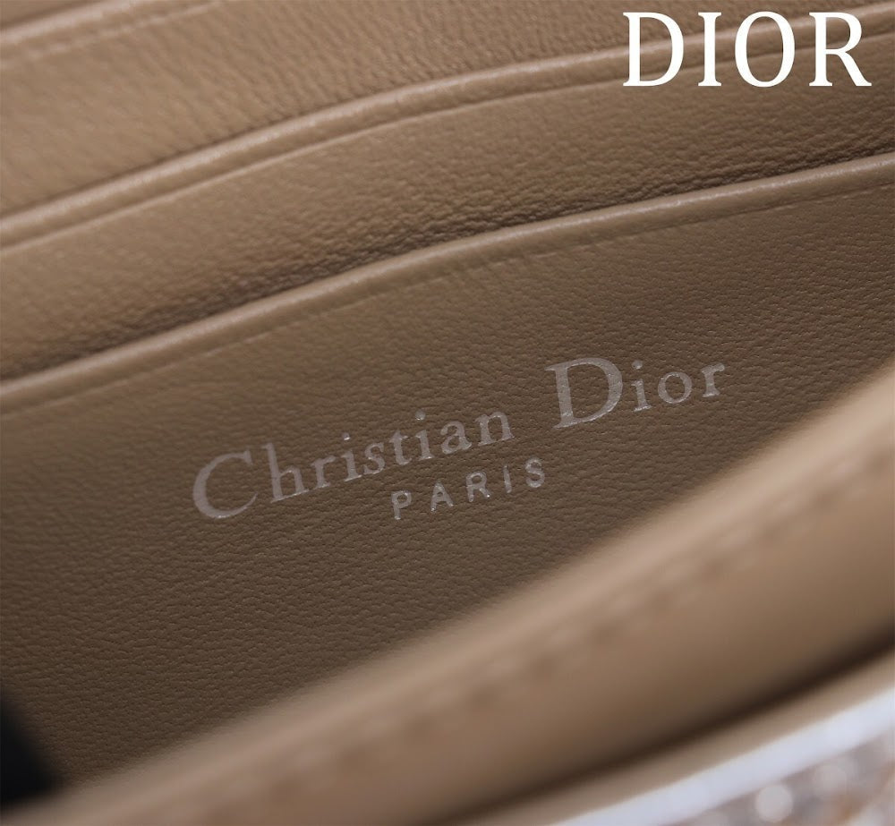 Ezyycart Bags Diorn Luxury Bag --116171