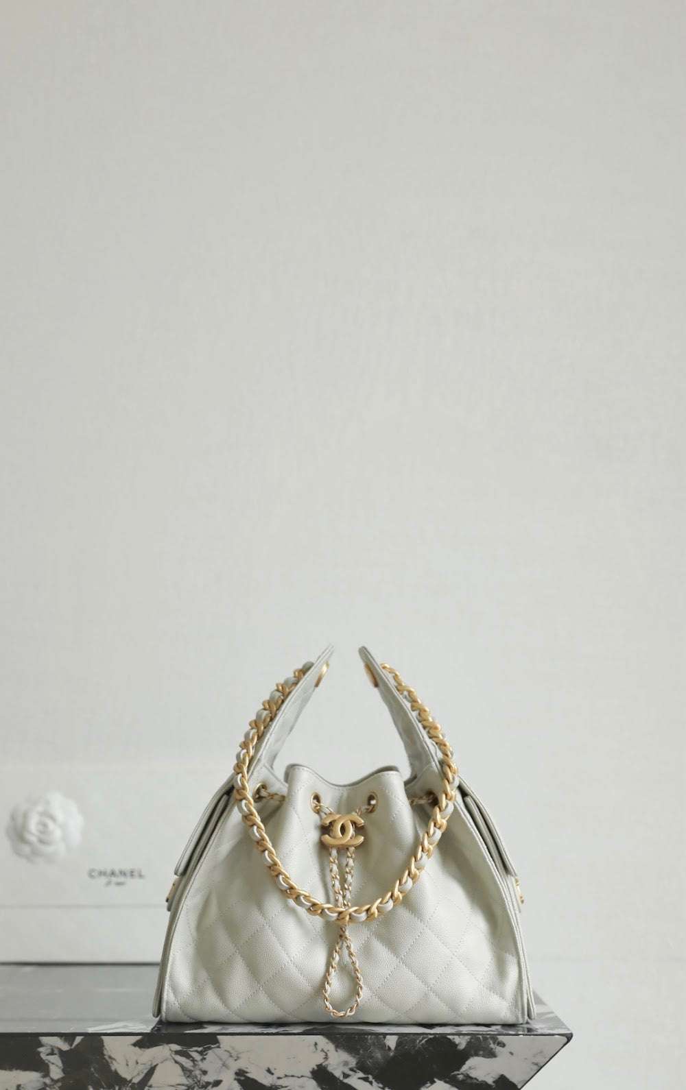 Anum Bags CHn Luxury Bag --113637