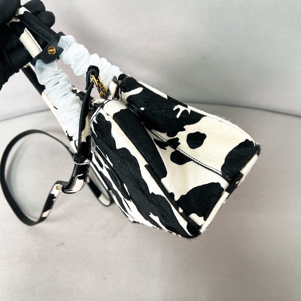 Ezyycart Bags Pradn Luxury Bag --102735