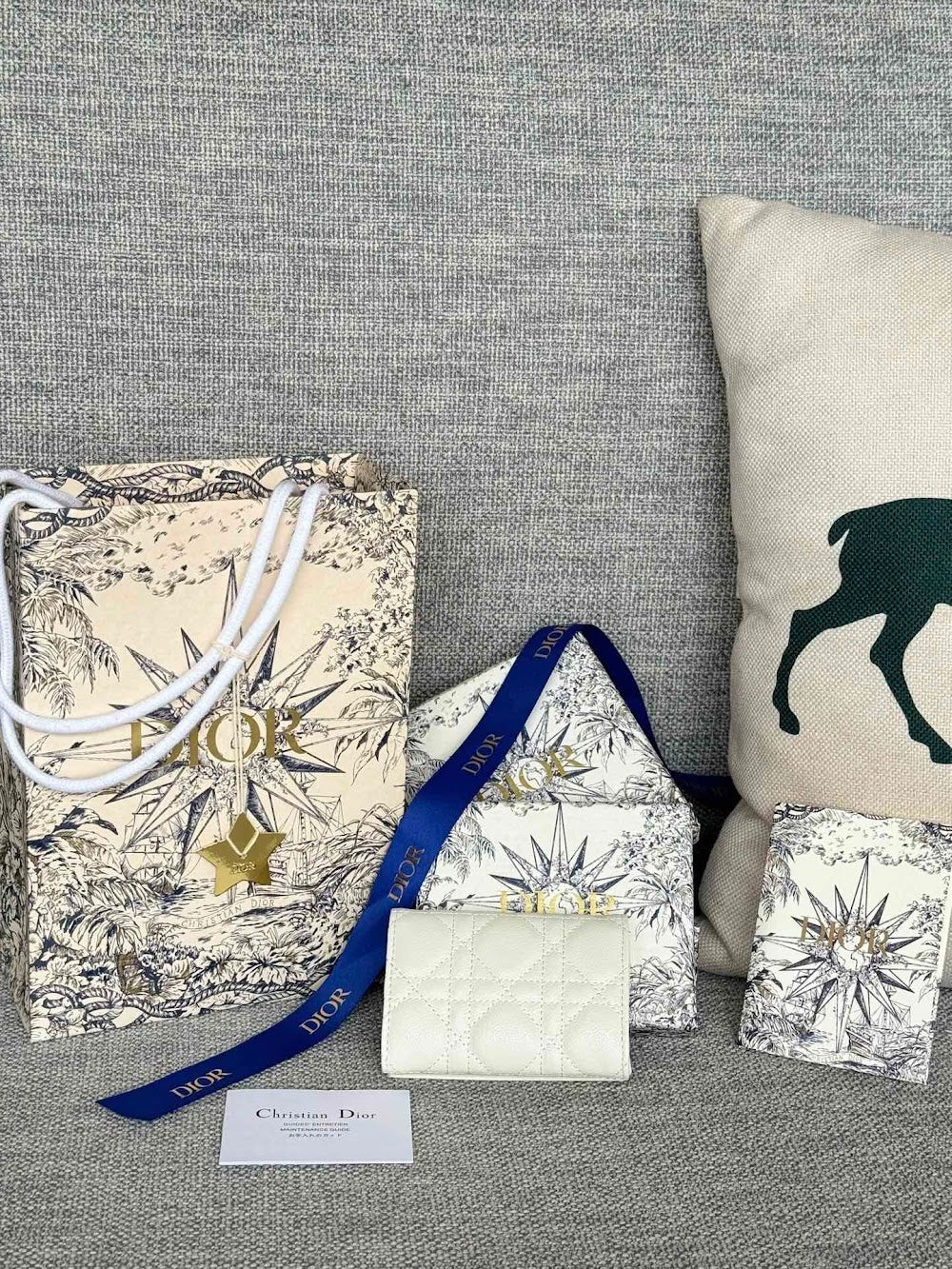 Anum Bags Diorn Luxury Bag --114628