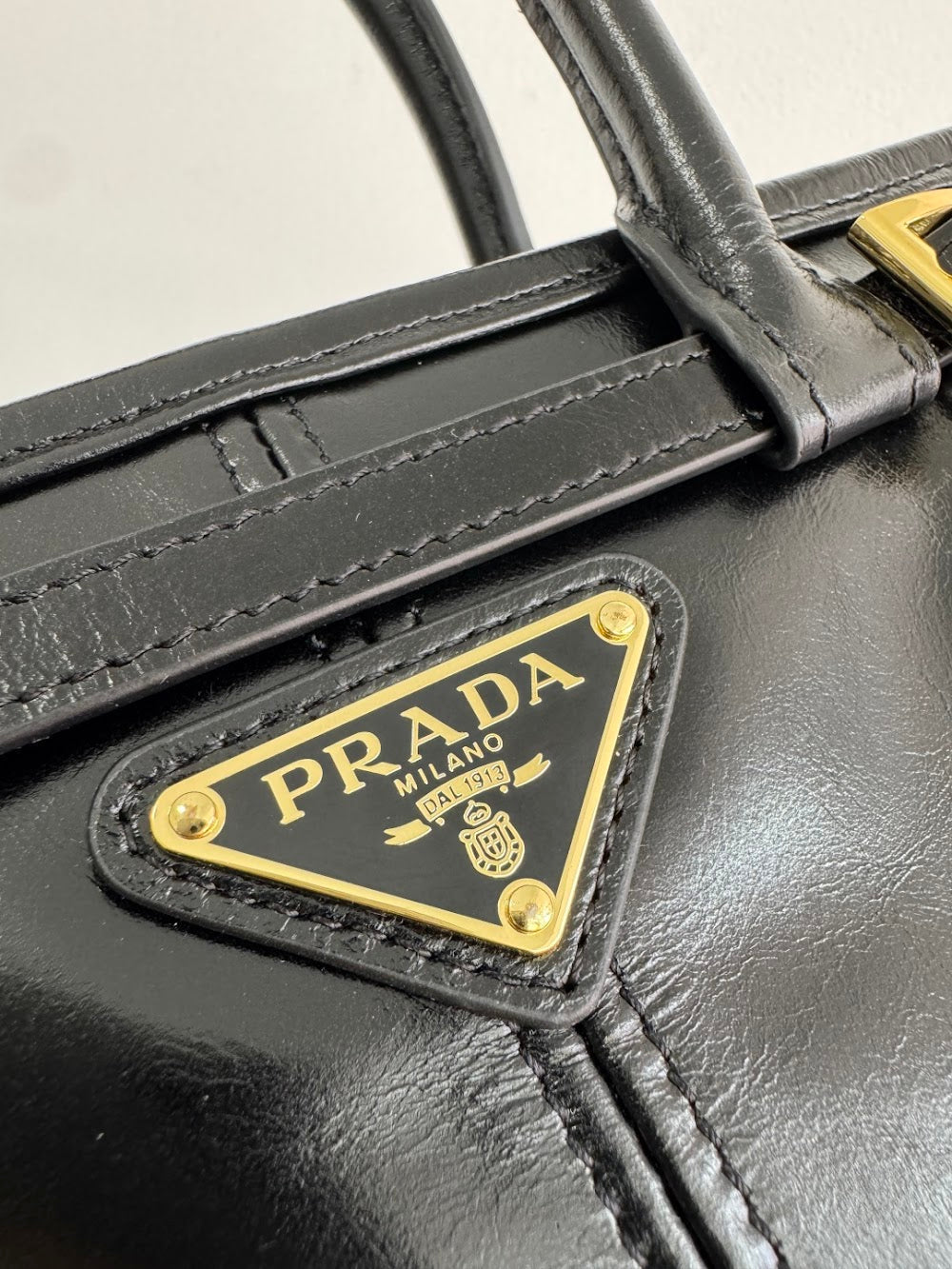 Ezyycart Bags Pradn Luxury Bag --102487