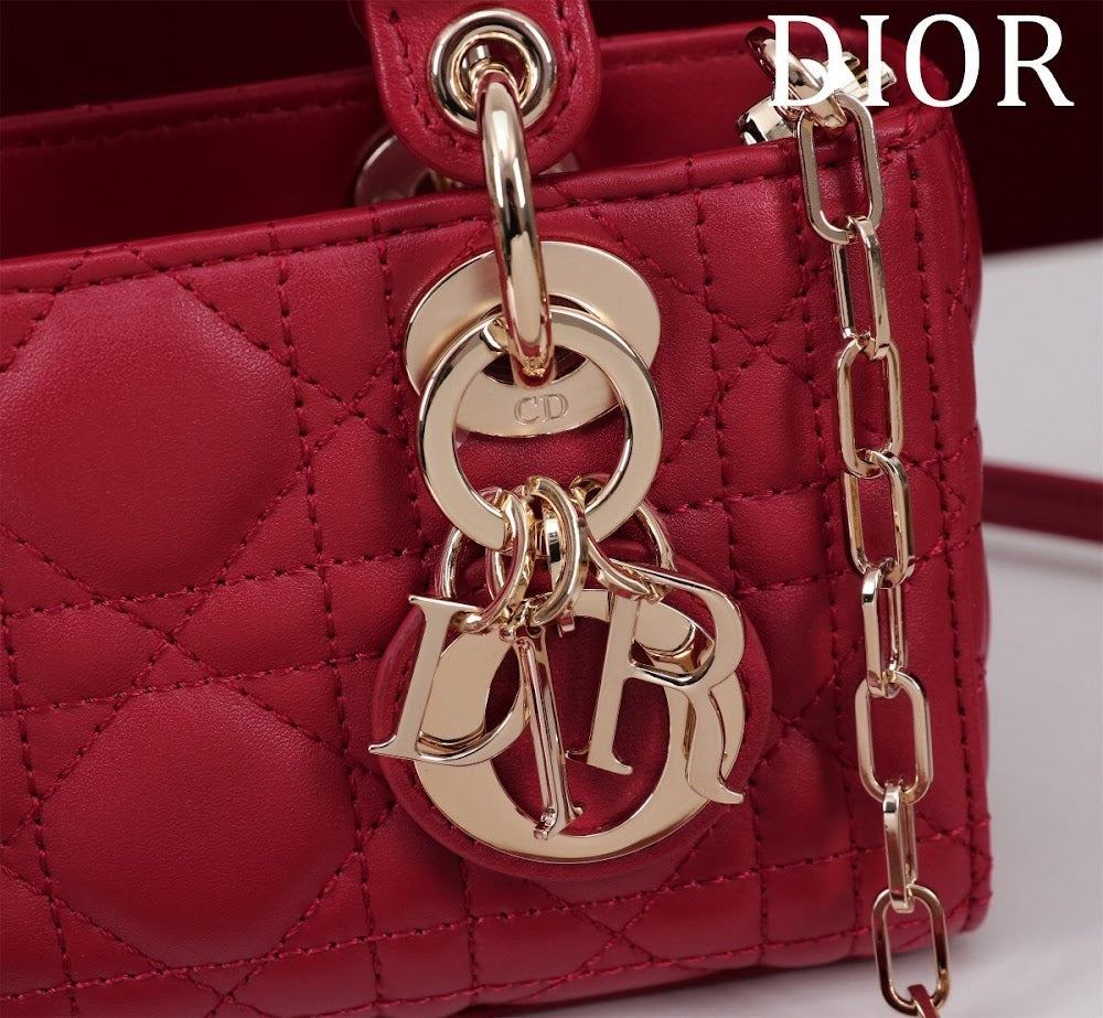 Ezyycart Bags Diorn Luxury Bag --116455