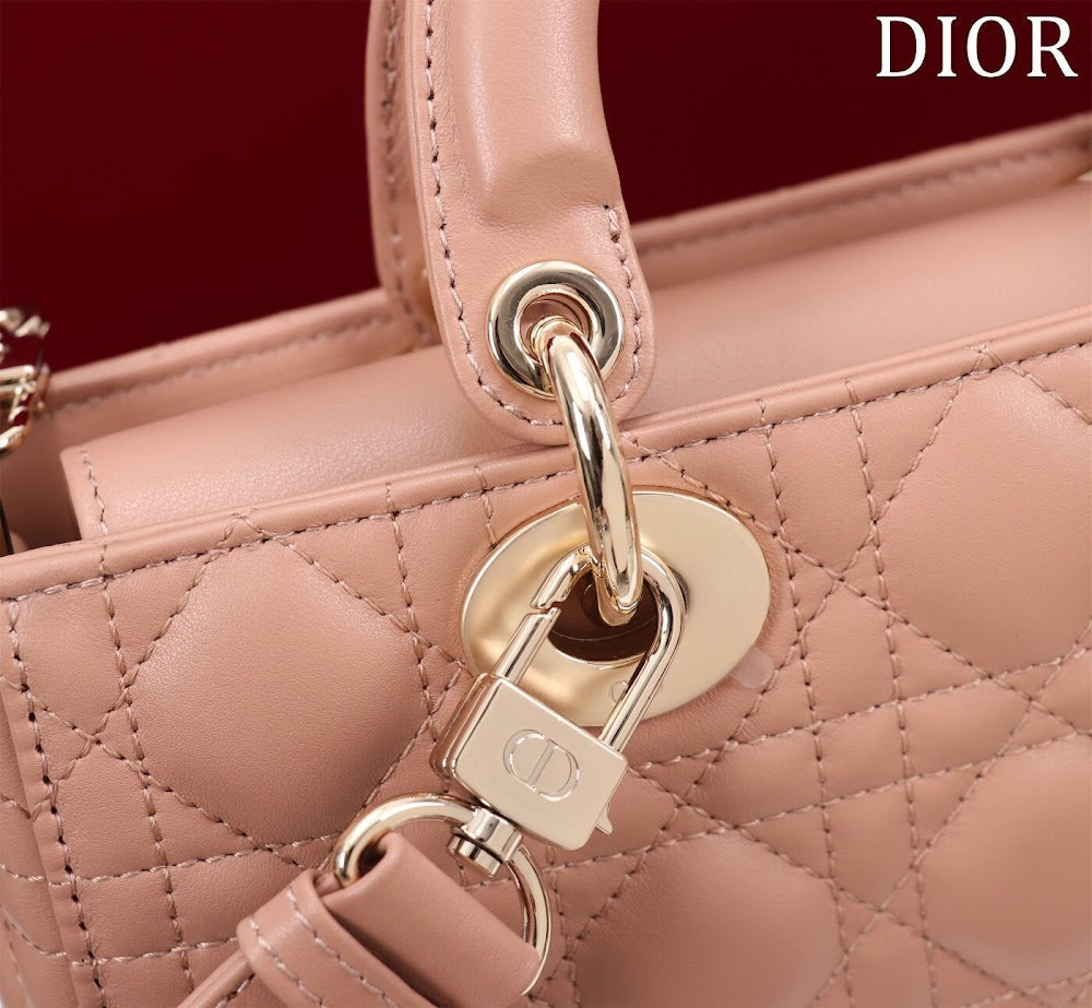 Anum Bags Diorn Luxury Bag --114748