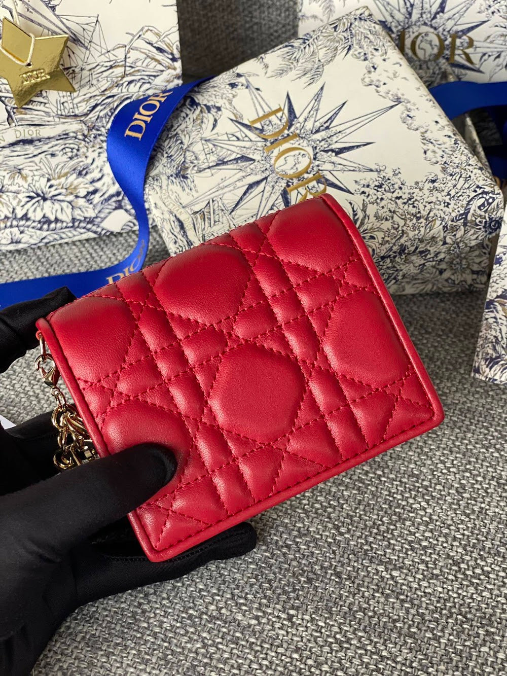 Ezyycart Bags Diorn Luxury Bag --115224