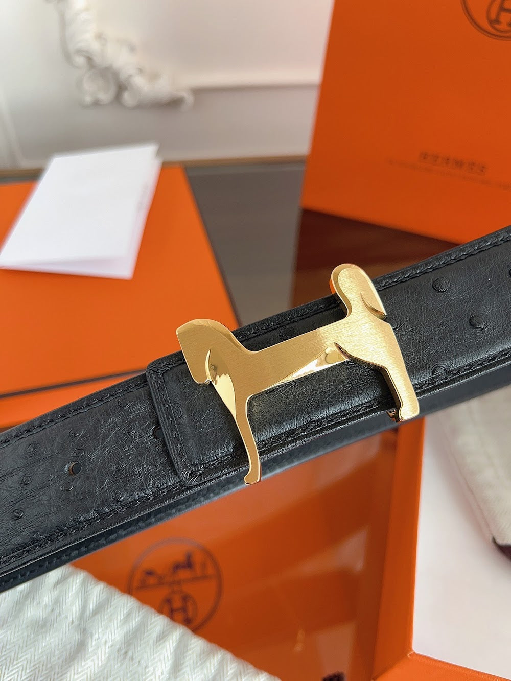 Anum Bags Hermesn Luxury Belt --109093