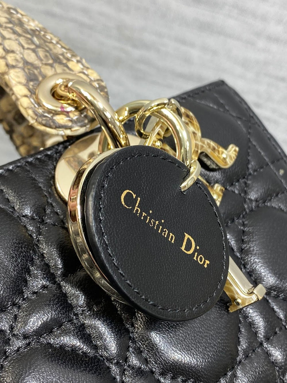 Ezyycart Bags Diorn Luxury Bag --115233