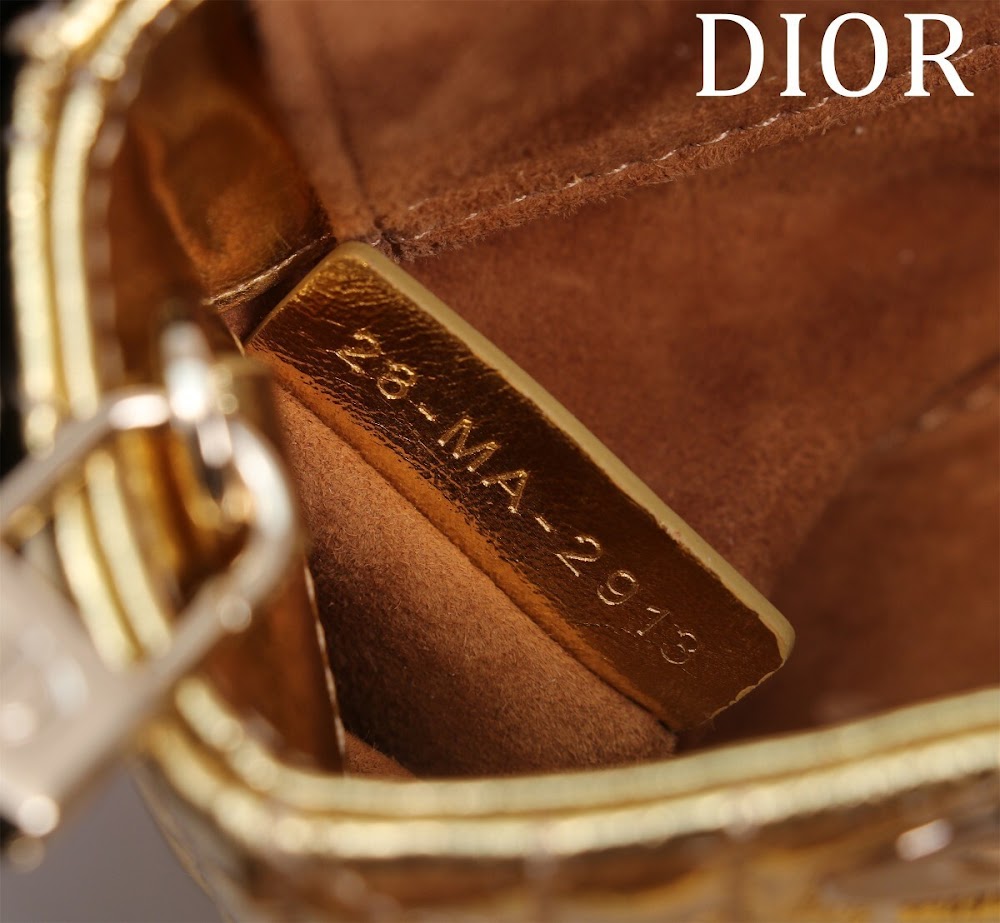 Ezyycart Bags Diorn Luxury Bag --116467