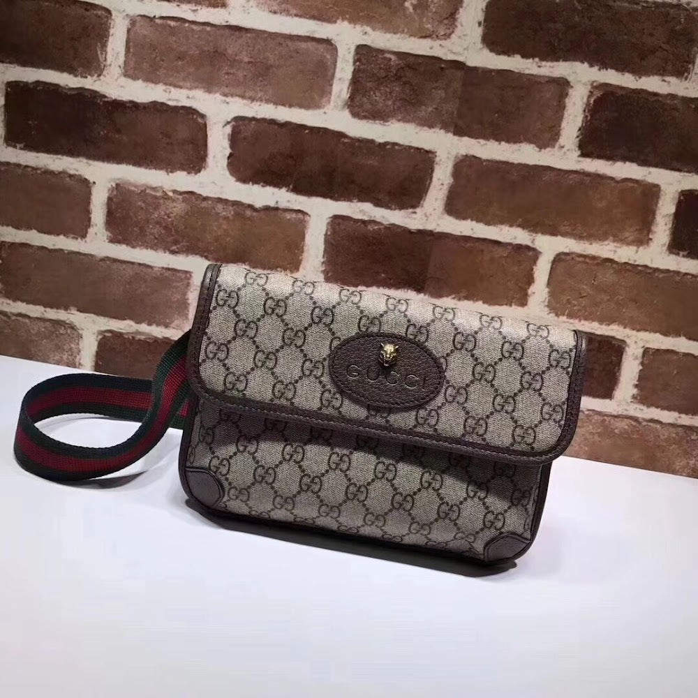 new-elite-designer-bags-nm17679