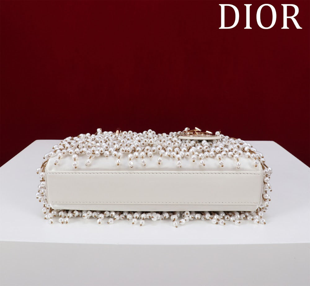 Anum Bags Diorn Luxury Bag --114711