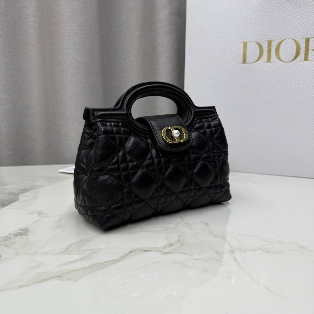 Ezyycart Bags Diorn Luxury Bag --115643