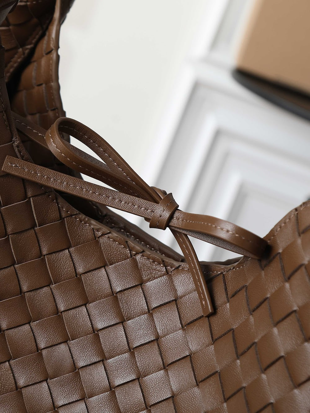 Ezyycart Bags Bottegan Luxury Bag --91371