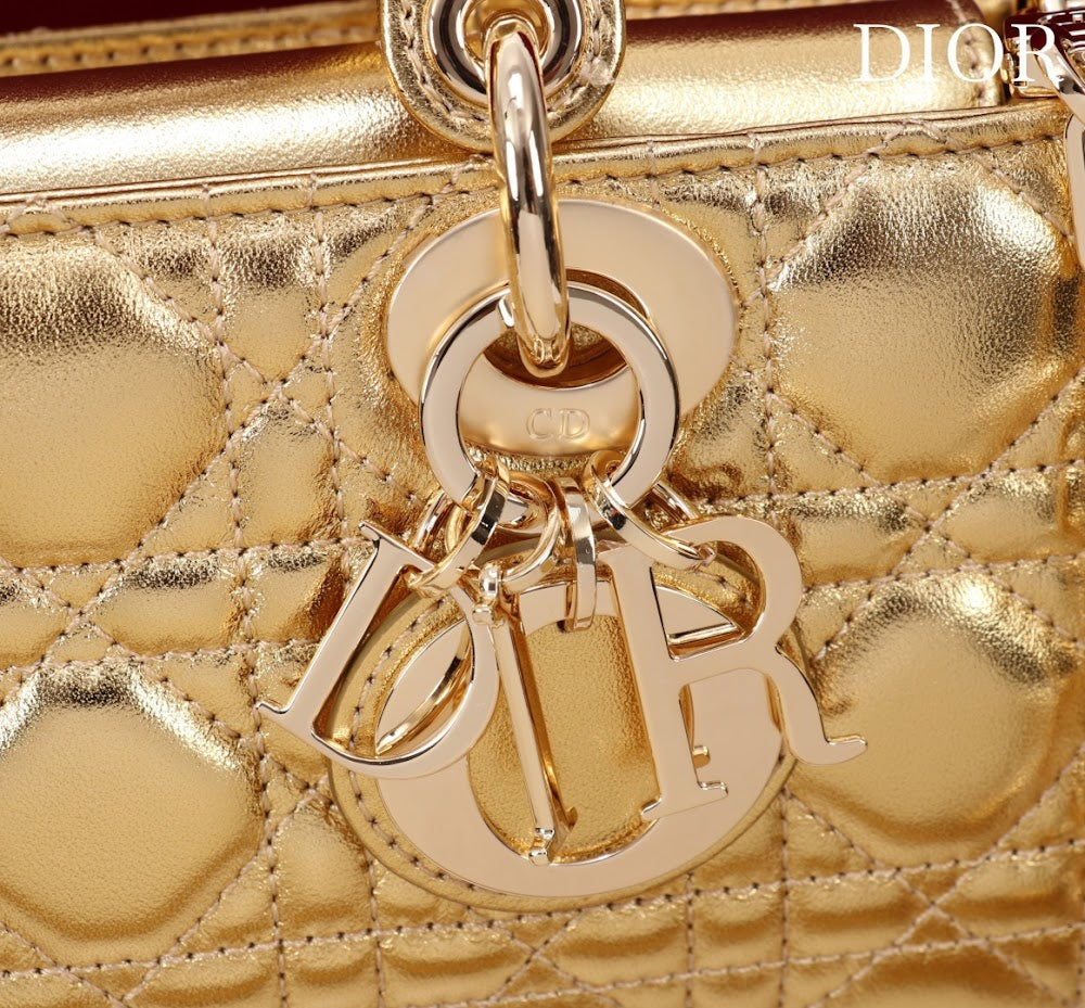 Anum Bags Diorn Luxury Bag --114717