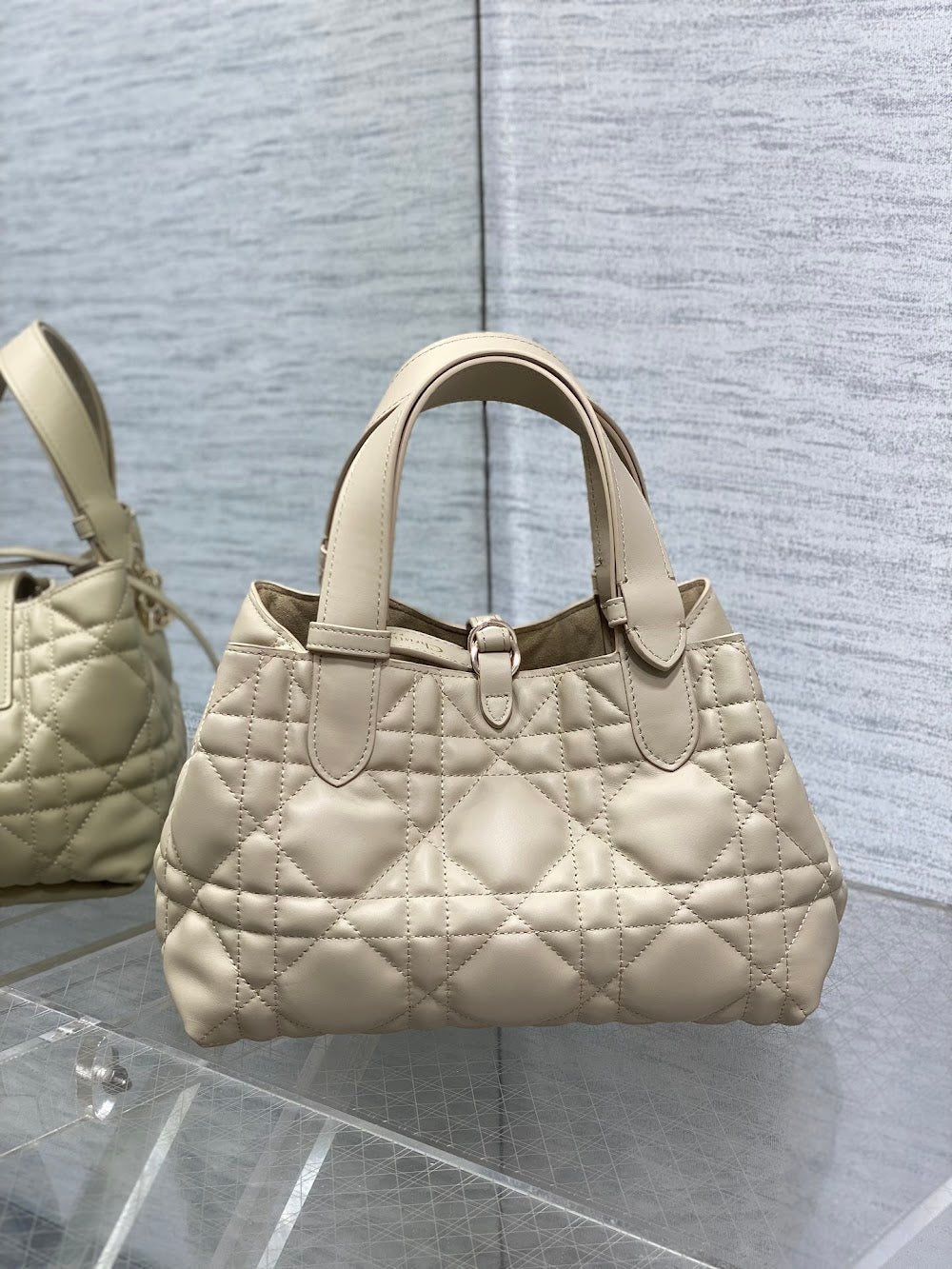 Ezyycart Bags Diorn Luxury Bag --115976