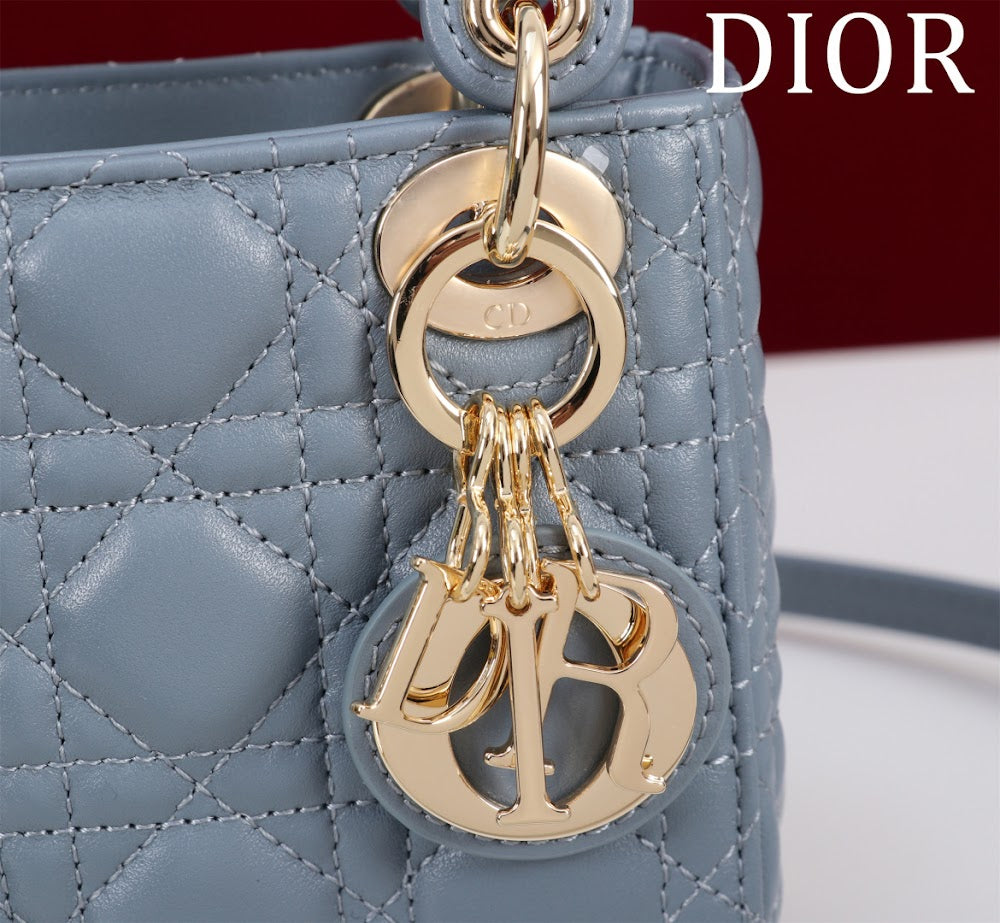 Ezyycart Bags Diorn Luxury Bag --116327