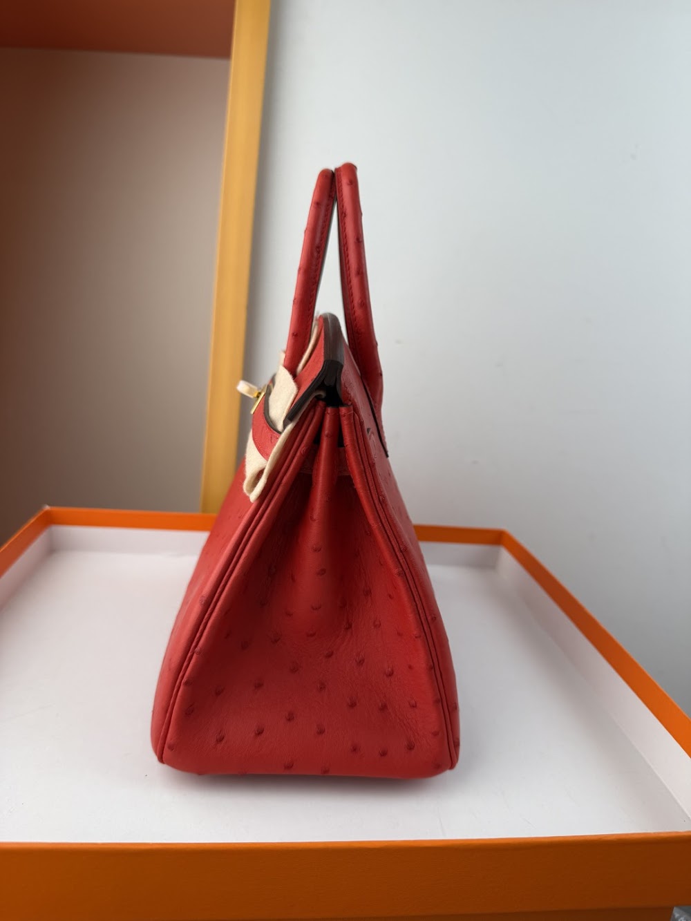 Anum Bags Hermesn Luxury Bag --116768