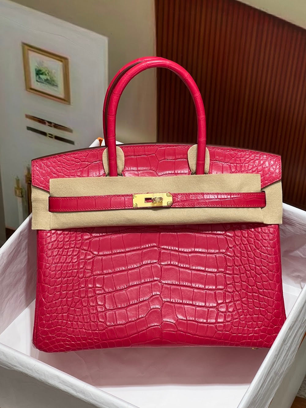 Anum Bags Hermesn Luxury Bag --117197