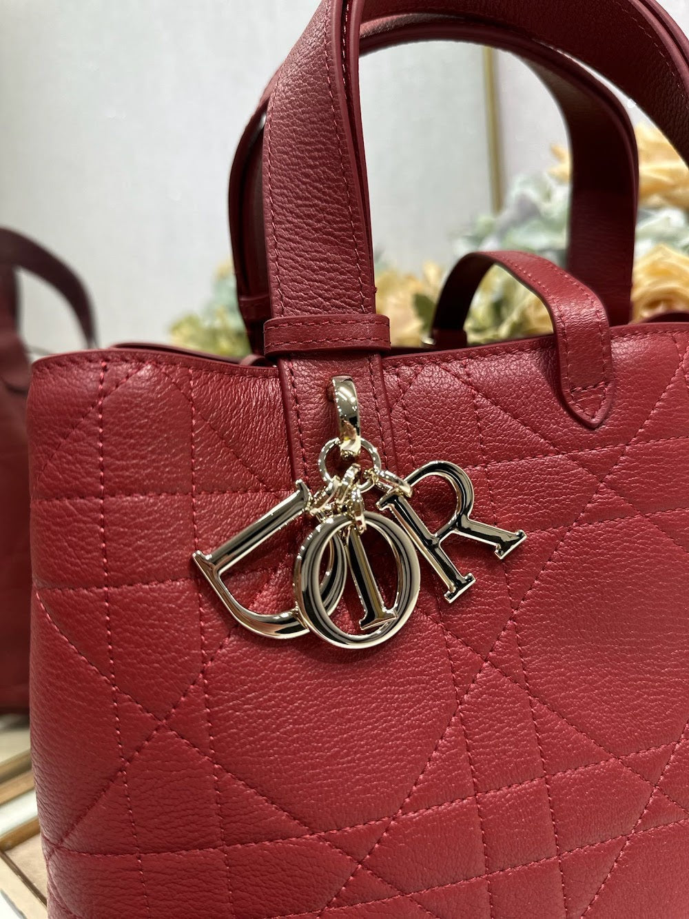Ezyycart Bags Diorn Luxury Bag --116131