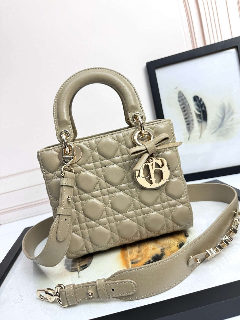 Anum Bags Diorn Luxury Bag --114946