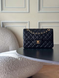Anum Bags CHn Luxury Bag --113969