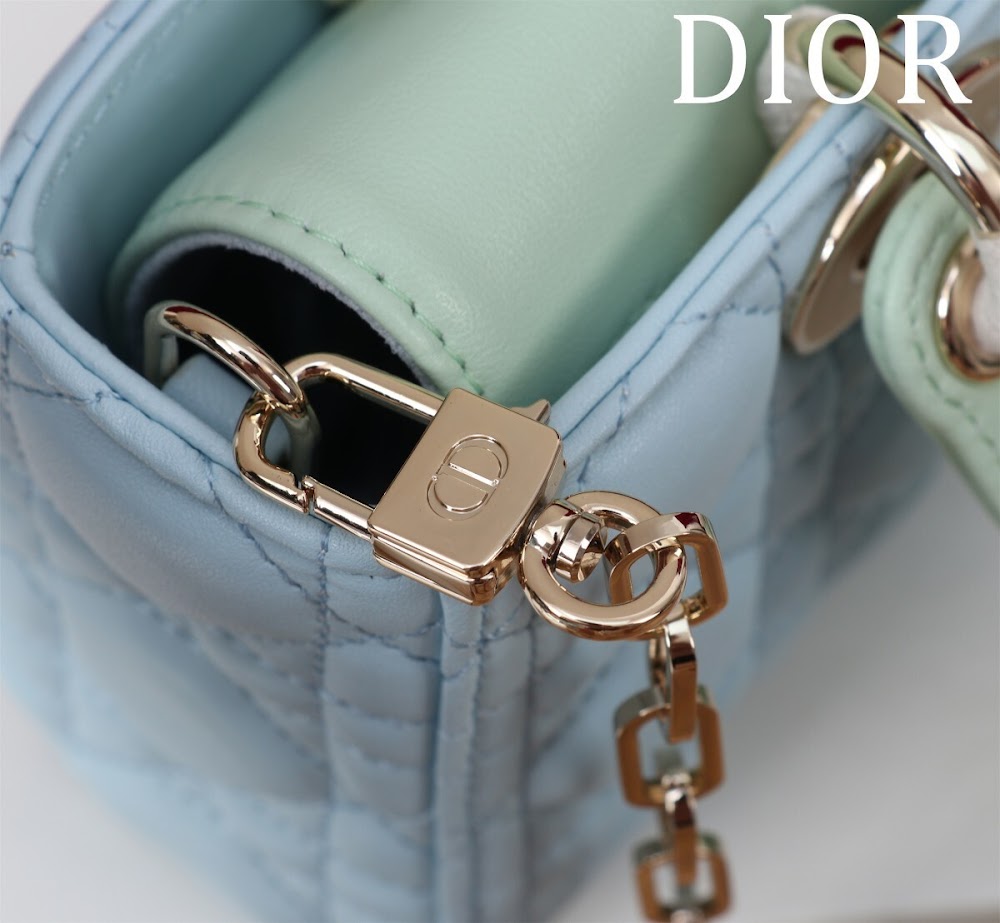 Anum Bags Diorn Luxury Bag --114850