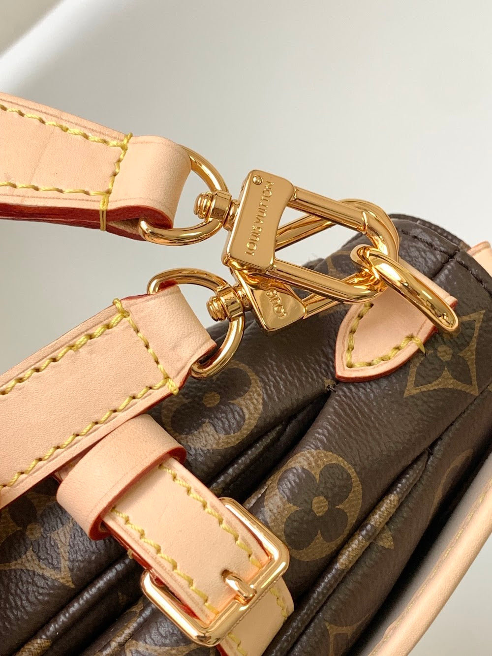 Anum Bags LVn Luxury Bag --80936
