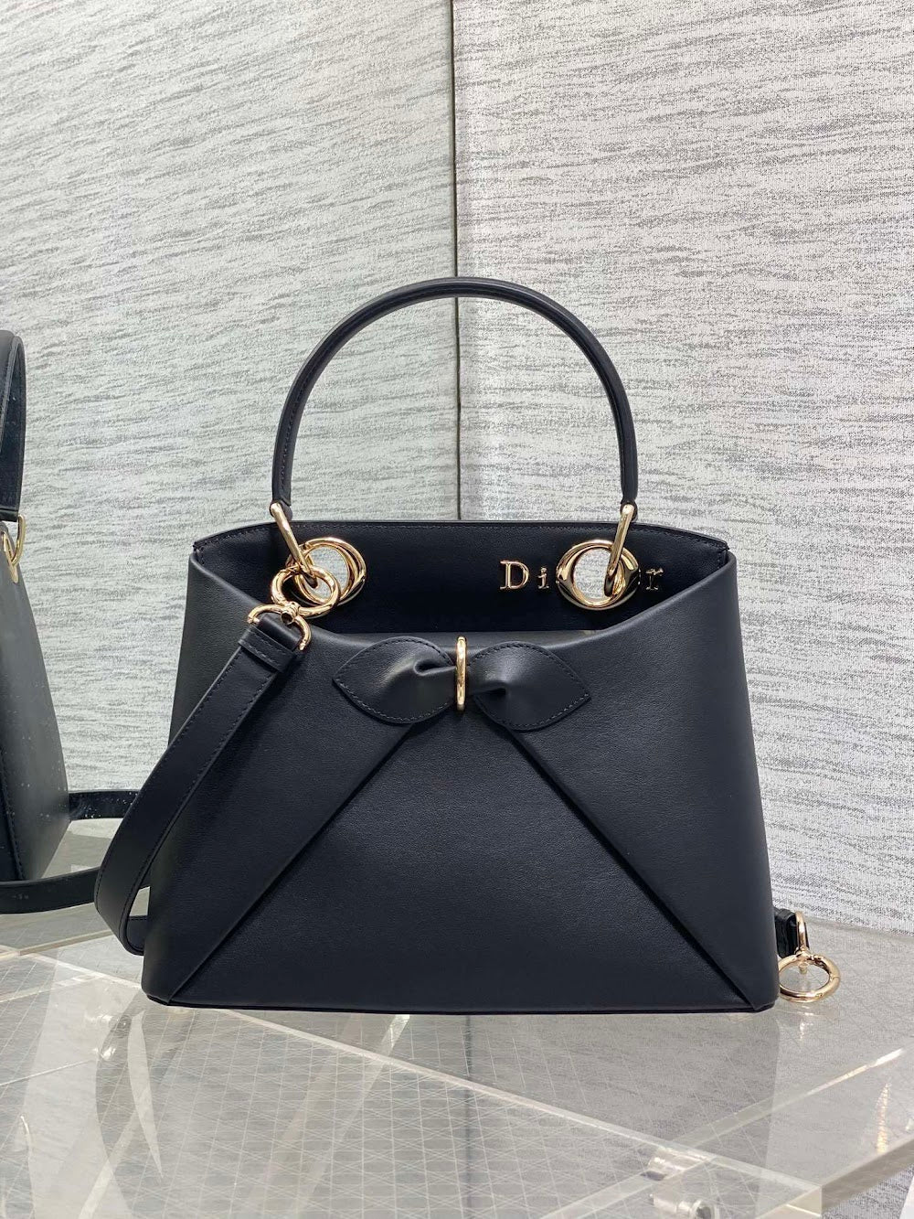 Anum Bags Diorn Luxury Bag --114858