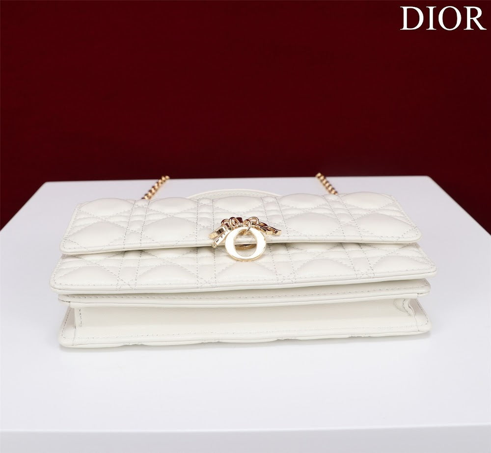 Ezyycart Bags Diorn Luxury Bag --116228