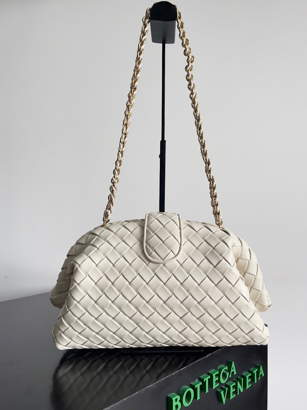 Ezyycart Bags Bottegan Luxury Bag --91267