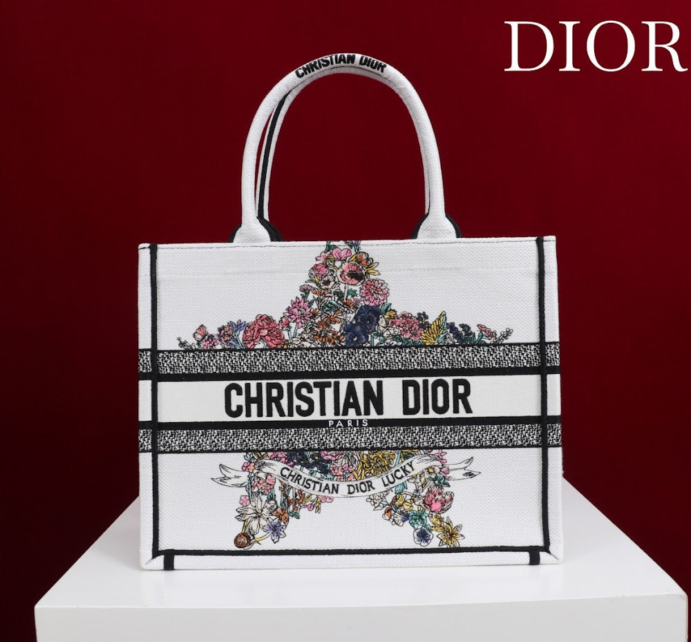 Ezyycart Bags Diorn Luxury Bag --116158