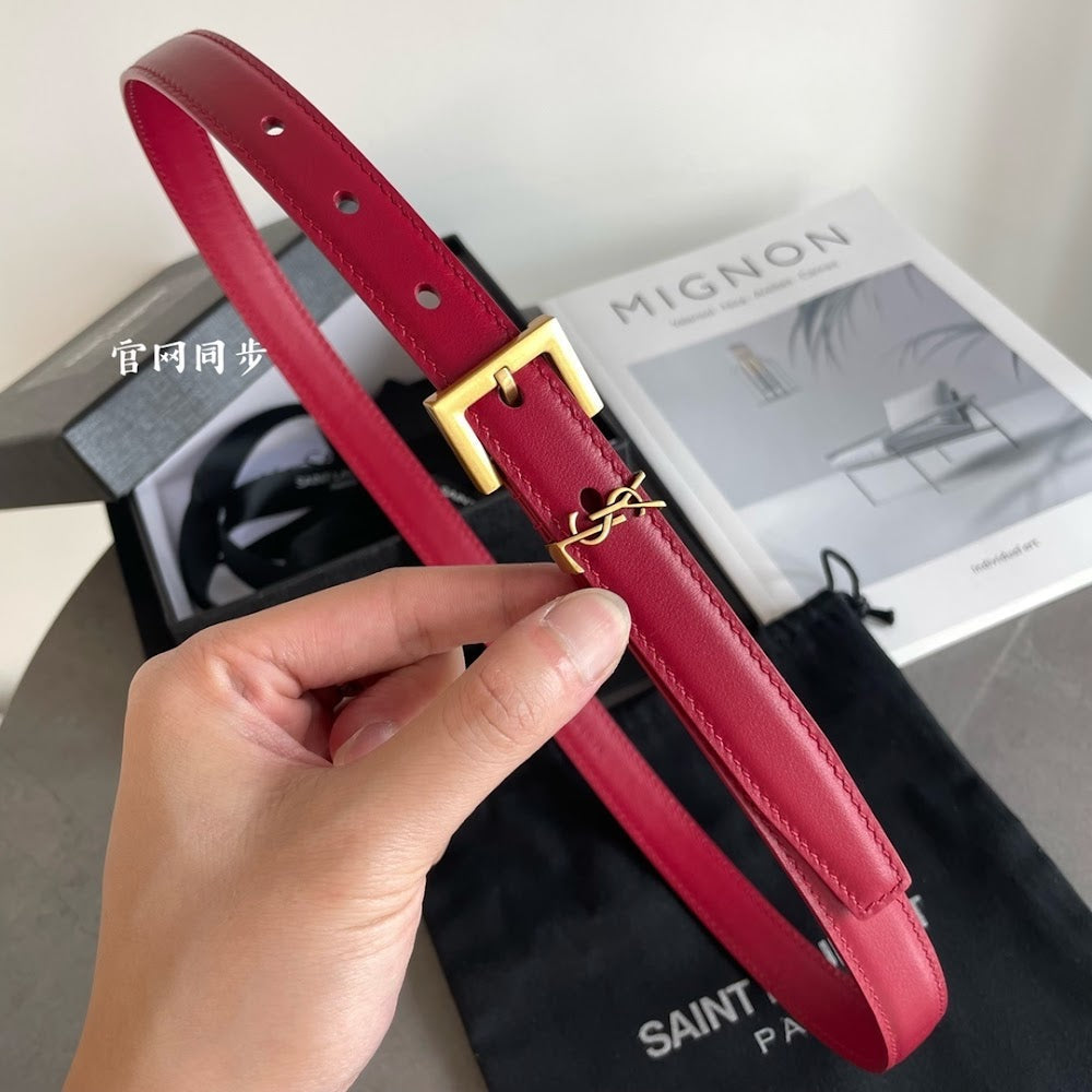 Ezyycart Bags YSLn Luxury Belt --110411