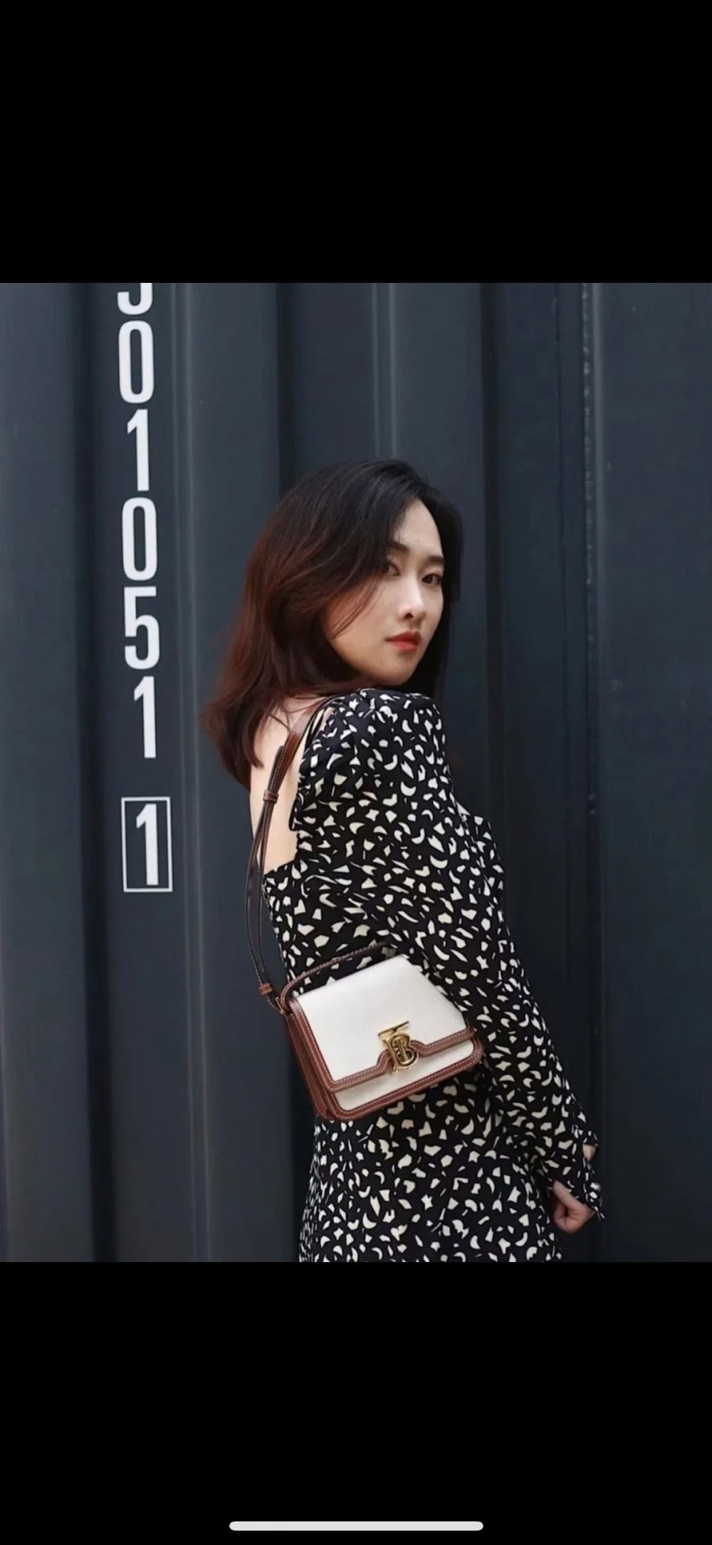 Ezyycart Bags Burberryn Luxury Bag --91619