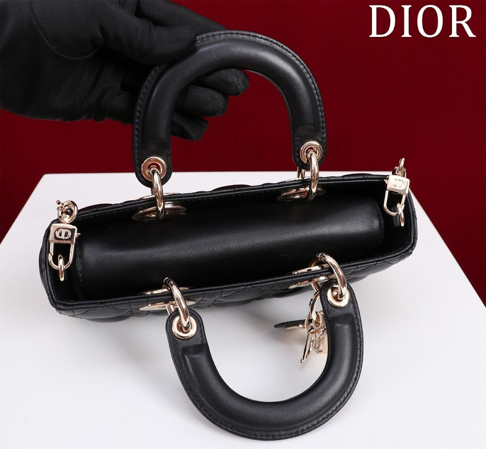 Anum Bags Diorn Luxury Bag --114714