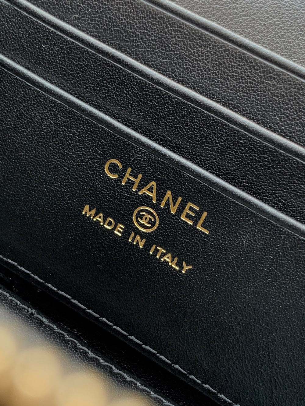 Anum Bags CHn Luxury Bag --112949