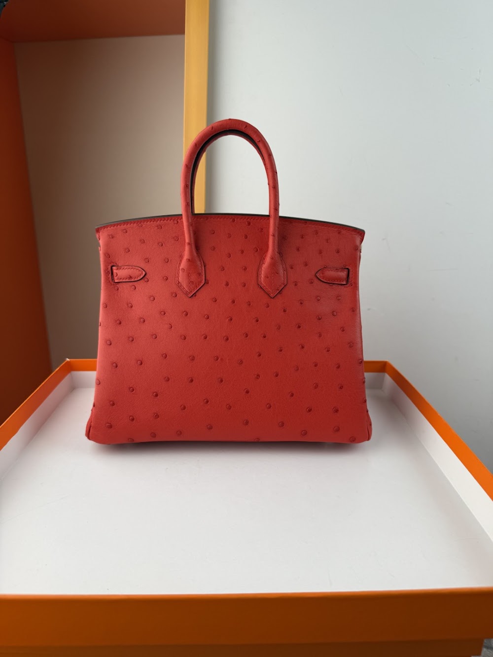 Anum Bags Hermesn Luxury Bag --116767