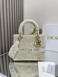 new-designer-premium-bags-nm15924