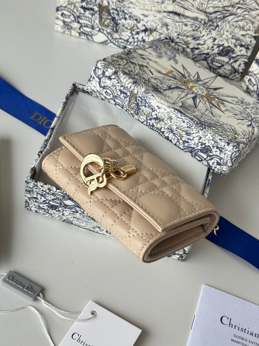 Anum Bags Diorn Luxury Bag --114485