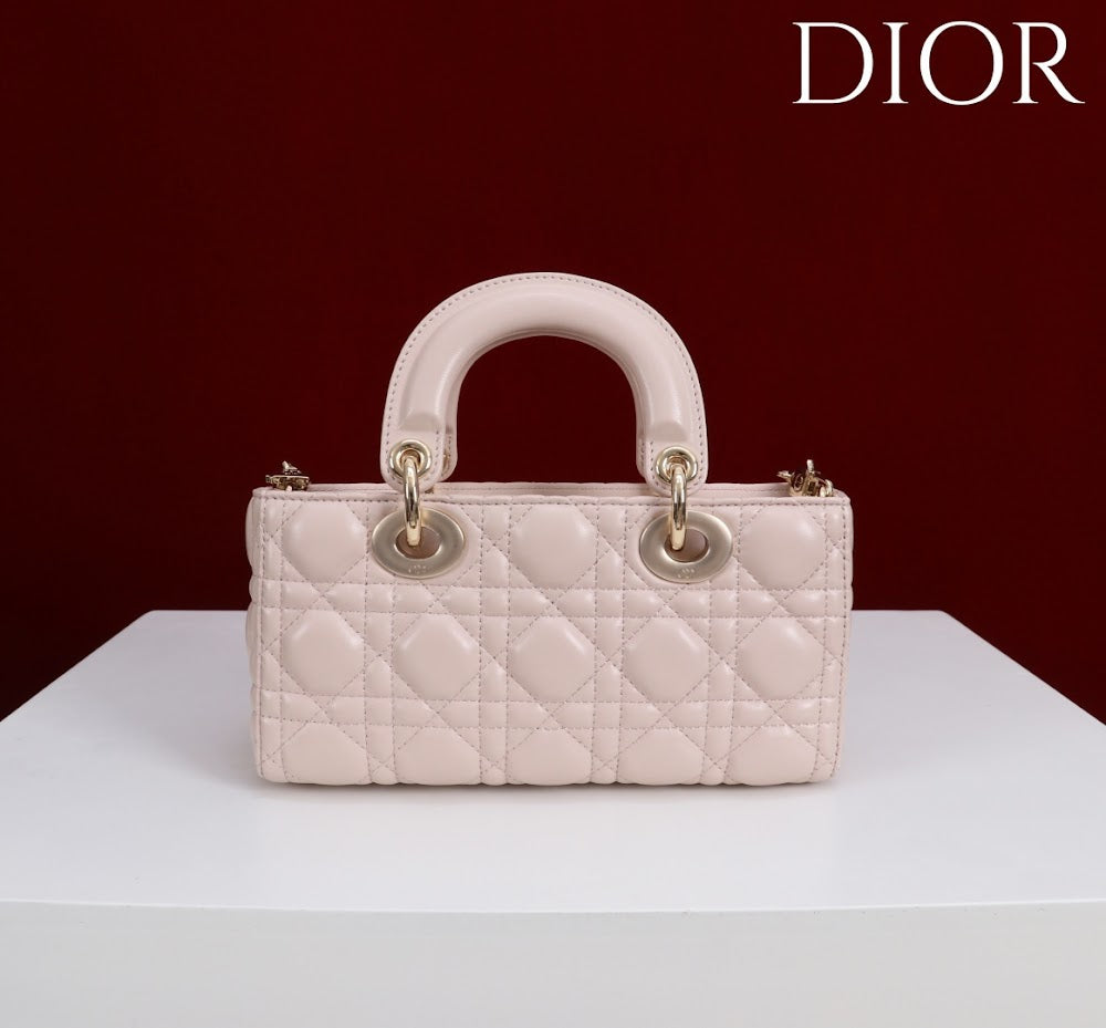 Anum Bags Diorn Luxury Bag --114785