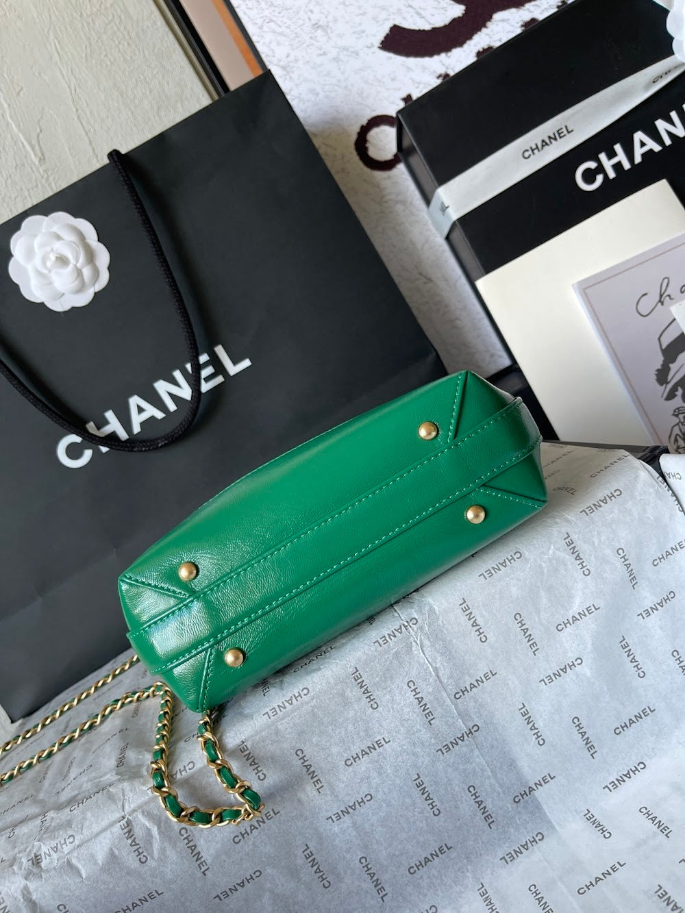 new-luxury-designer-bags-nm19951