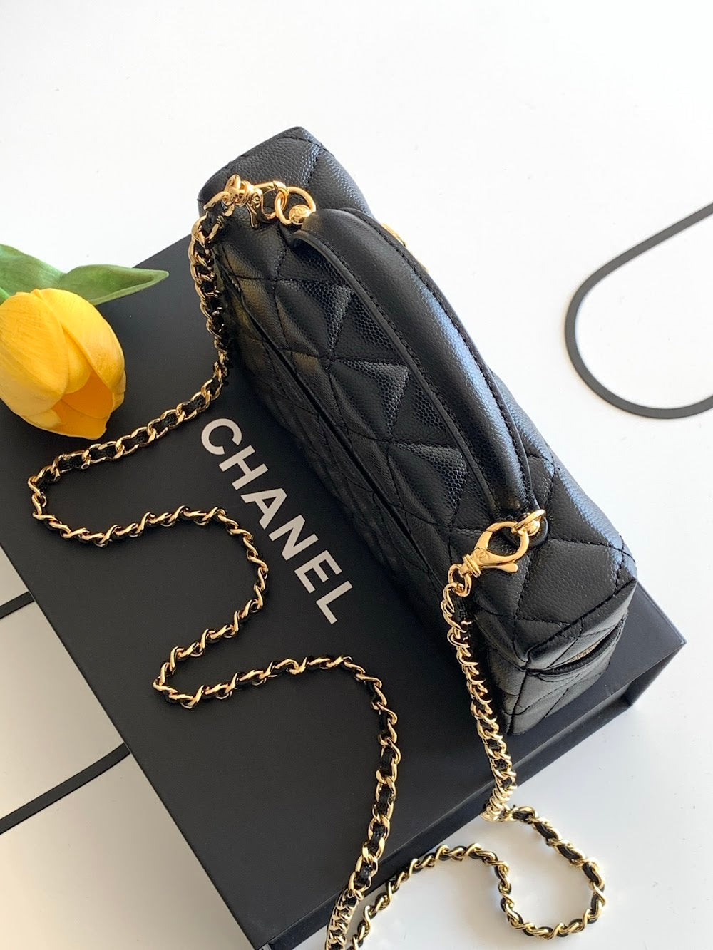 Anum Bags CHn Luxury Bag --113839
