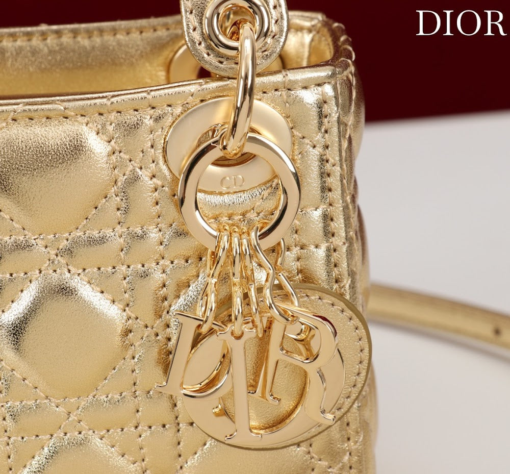 Ezyycart Bags Diorn Luxury Bag --116552