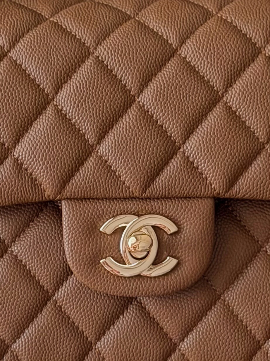 Anum Bags CHn Luxury Bag --113884