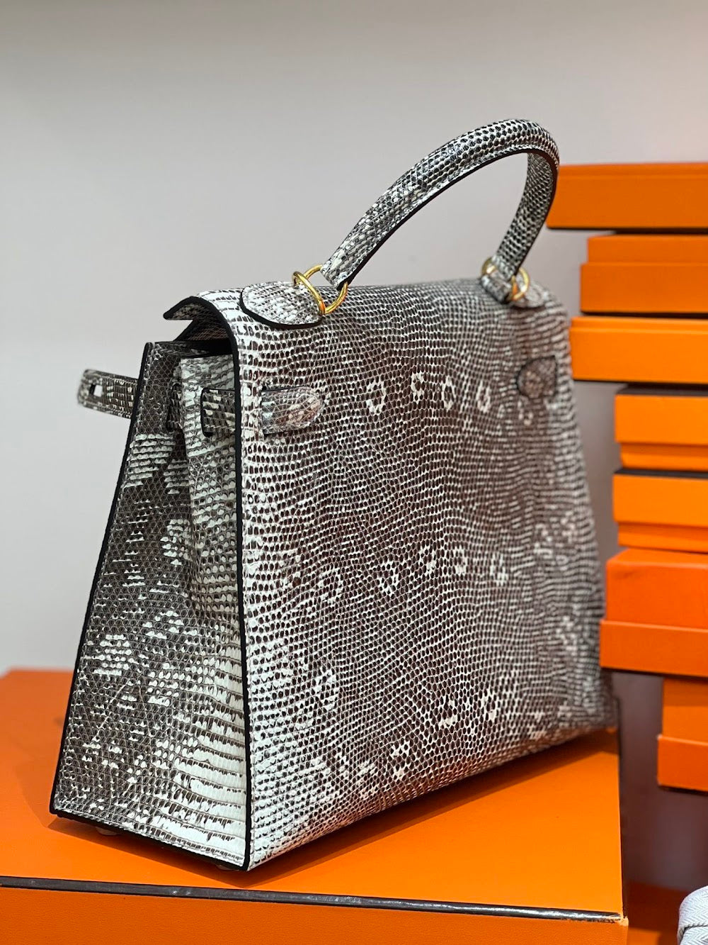 Anum Bags Hermesn Luxury Bag --117127
