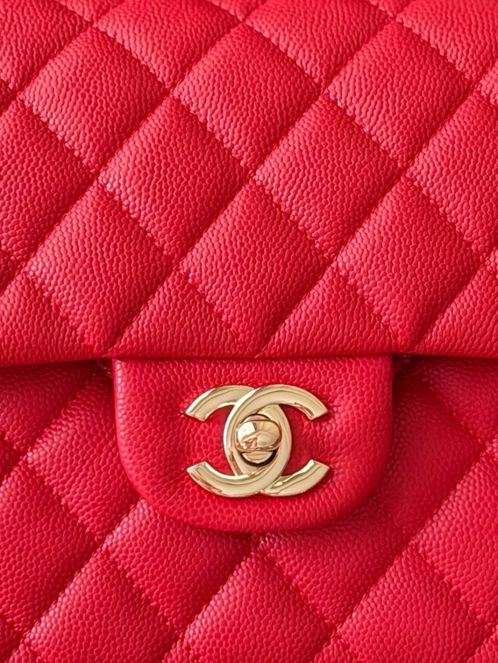 Anum Bags CHn Luxury Bag --113887