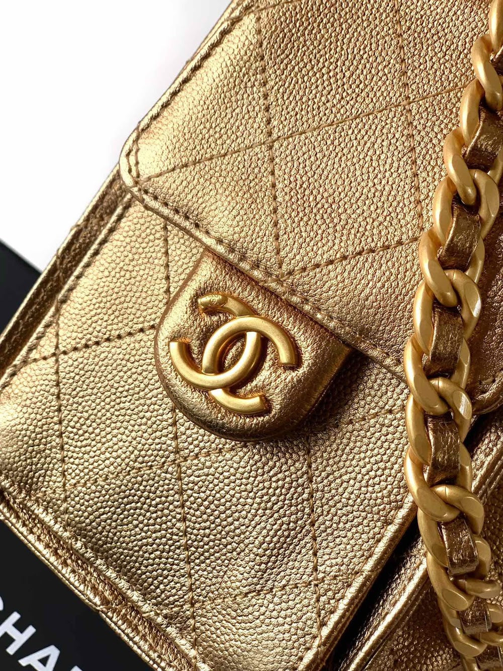 Anum Bags CHn Luxury Bag --112891